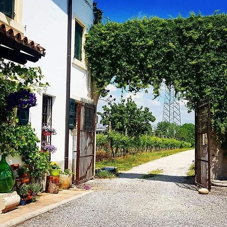 ヴェローナ Corte Le Vigne Bed & Breakfast エクステリア 写真